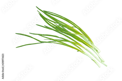 green onion isolated on the white background