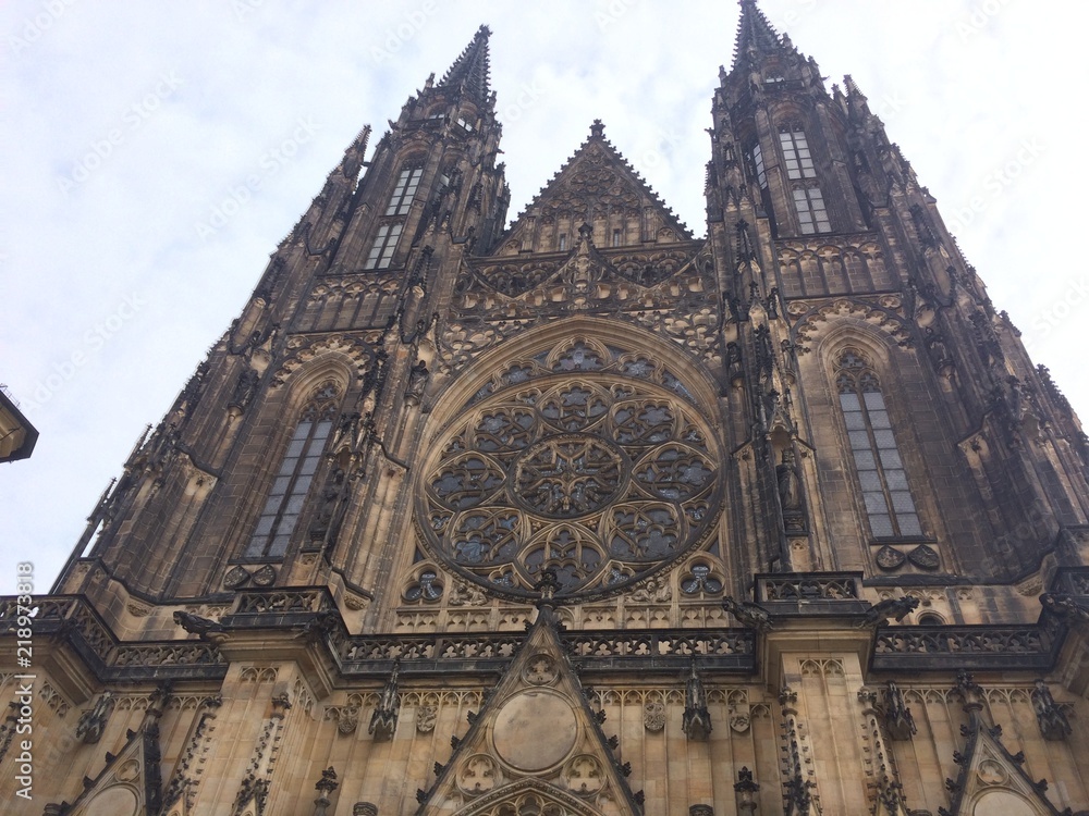 Naklejka premium Assorted