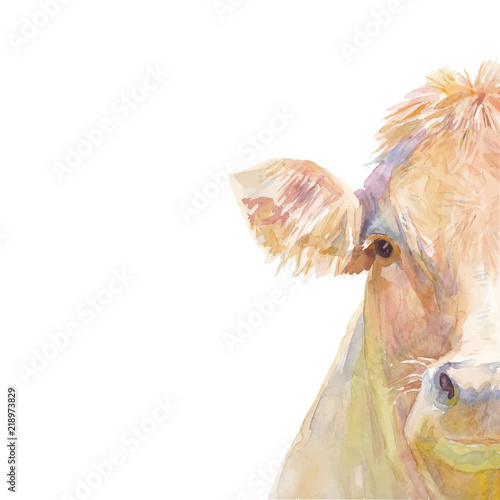 Vector illustration of a watercolor половина морды cow. Cow isolated on white background. Frontal head of a cow.