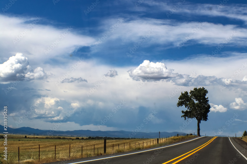Blacktopped road with one tree on horizon and mountains and rain on the horizon Blacktopped road with one tree on horizon and mountains and rain on the horizon