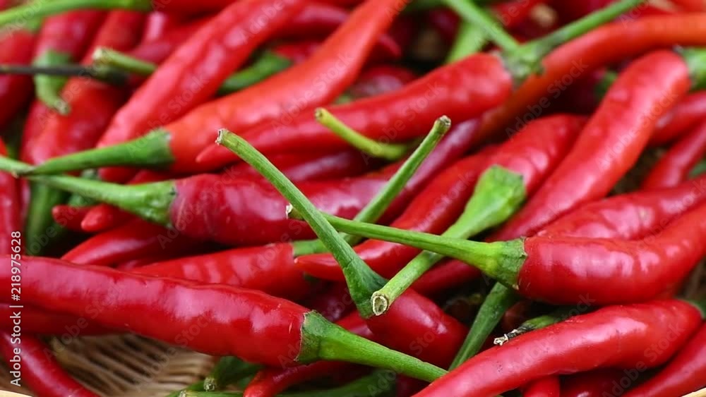 red chili pepper rotation red chili pepper rotation