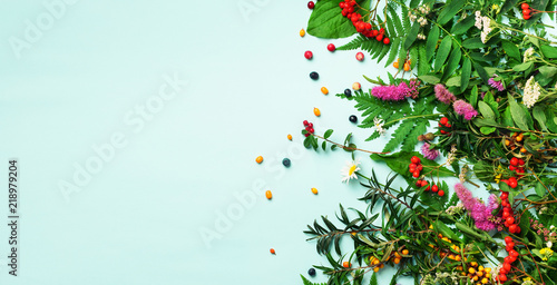 Obraz na plátně Ingredients of herbal alternative medicine, holistic and naturopathy approach on blue background
