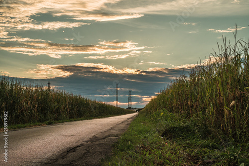 sunset isolated road in the middle of field in monza brianza photo
