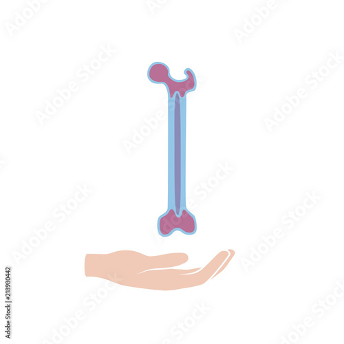 Vector illustration of bone marrow