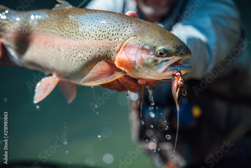 Fototapeta Naklejka Na Ścianę i Meble -  Fly Fishing for Trout 