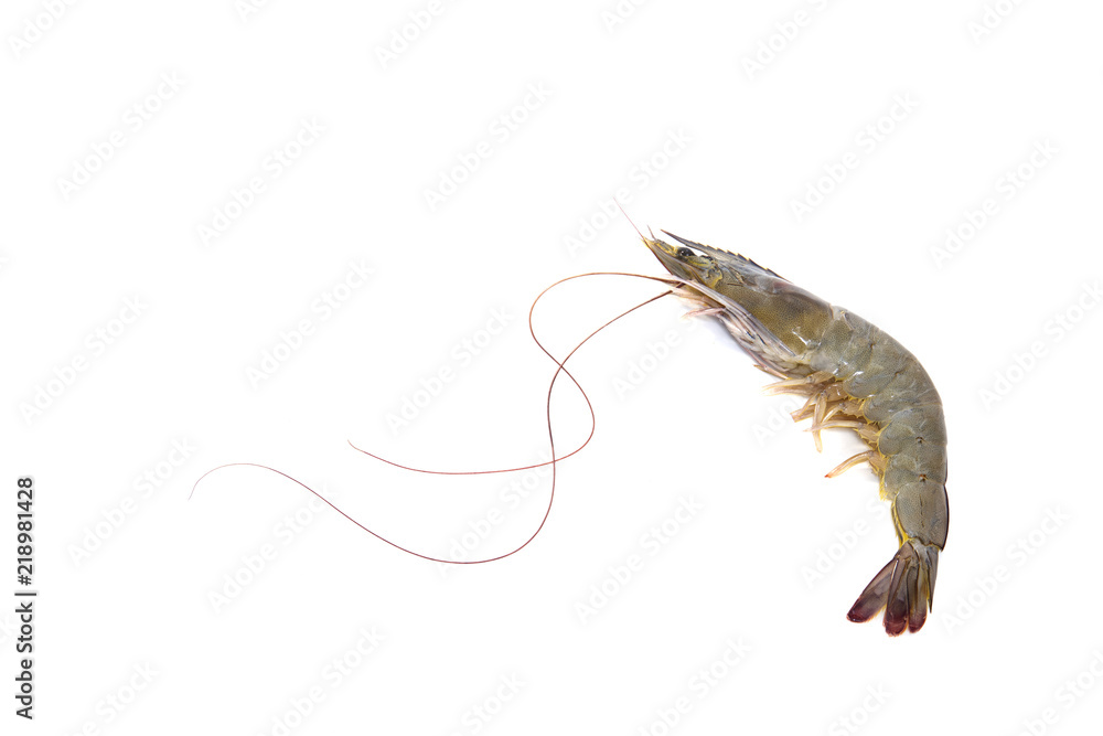 One raw shrimp on white One raw shrimp on white