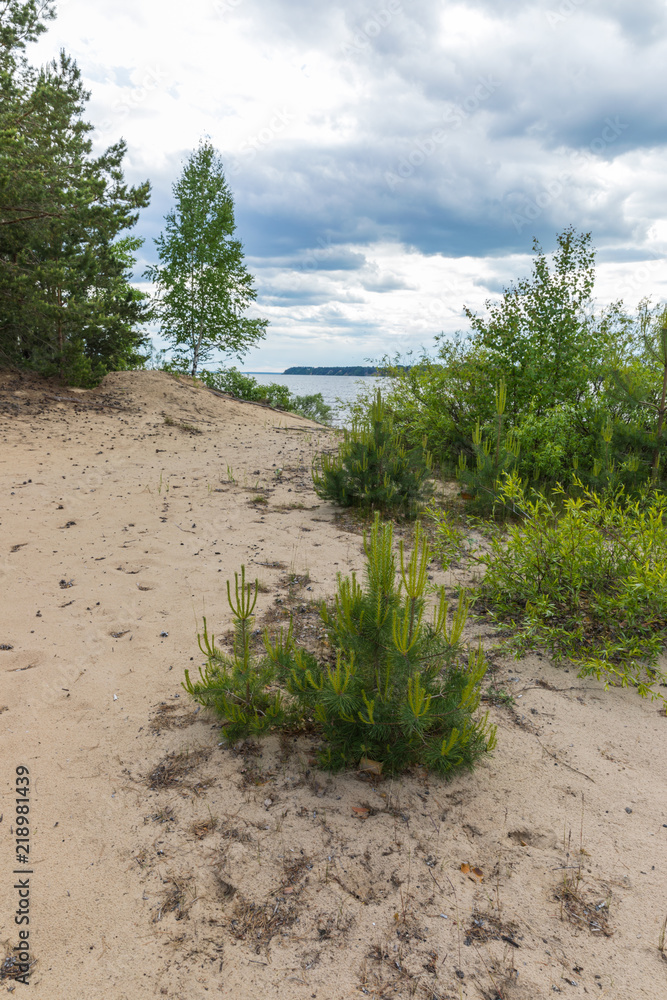 Landscape of a group of islands in the water area of the Volga, called Landscape of a group of islands in the water area of the Volga, called