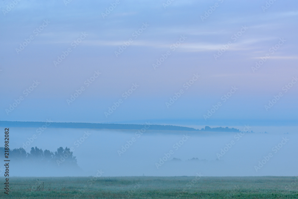 picturesque view of valley with trees at foggy sunrise
