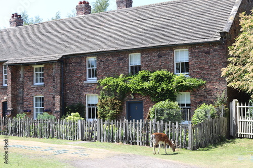 old house with garden
