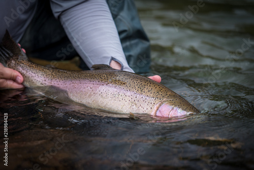 Trout Fishing Catch and Release
