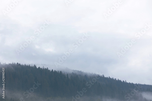 Mountain forest in mist, woods atmosphere. Beautiful ambience wild nature background.