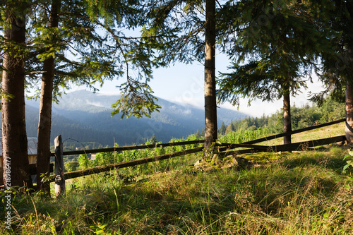 Fototapeta Naklejka Na Ścianę i Meble -  Europe mountain village landscape, green valley.