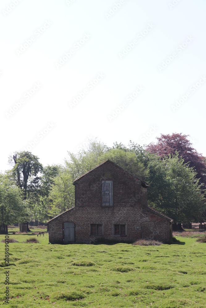 Fototapeta premium old house