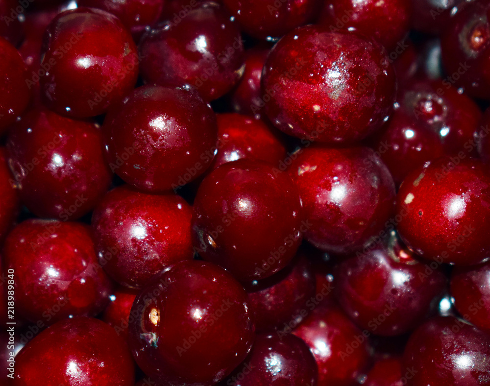 Cherries on the tree close-up. Red ripe cherries on black background. Cherry orchard. Harvesting and harvesting for the winter. Cherries on the tree close-up. Red ripe cherries on black background. Cherry orchard. Harvesting and harvesting for the winter.