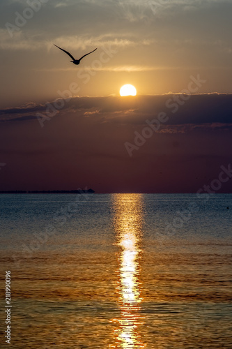 Sunrise on the beach