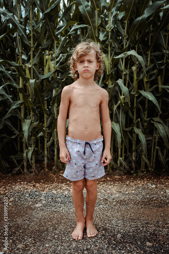 Little boy in shorts in cornfield photo