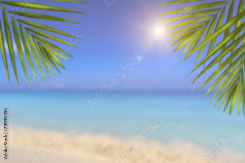 Blur beautiful nature green palm leaf on tropical beach with bokeh sun light wave abstract background. Copy space of summer vacation and business travel concept. © Oleg
