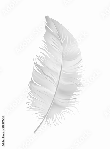 Vector white fluffy feather isolated on white background