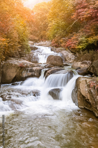 Fototapeta Naklejka Na Ścianę i Meble -  Waterfall in national park during autumn