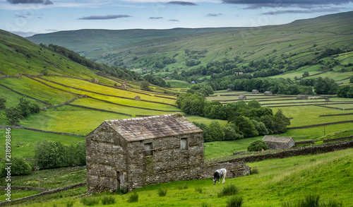 Fotografie The old barns in Swaledale