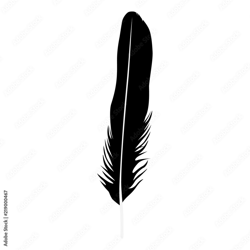 Feather isolated vector Feather isolated vector