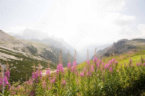 Montañas Dolomitas photo