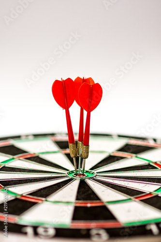 Dart game arrows. 