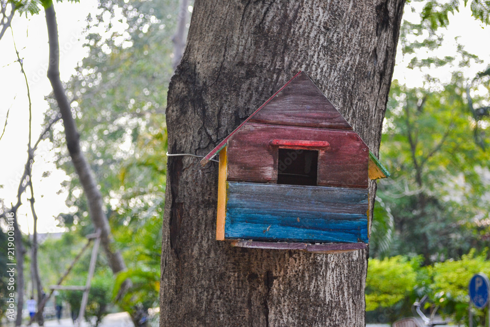 Colored Bird house on the tree Colored Bird house on the tree