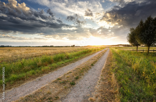 countryside road at gold sunset