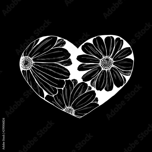 Black and white illustration of a bouquet of chamomiles in the heart. Everything is love