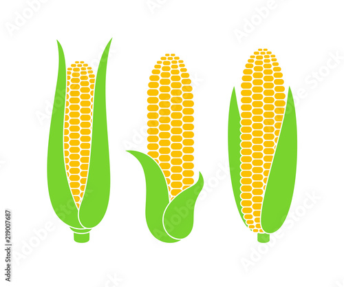 Corn logo. Isolated corn on white background 