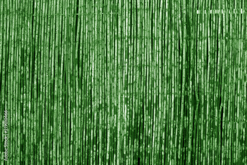 Fototapeta Naklejka Na Ścianę i Meble -  Weathered bamboo fence in green tone.