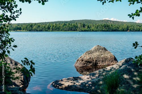 Beautiful sunny day in fore...