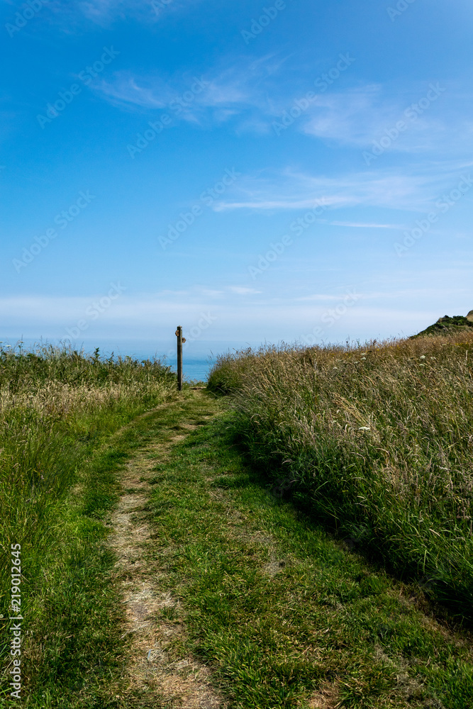 Path on the Yorkshire coast leading to a sign at the end