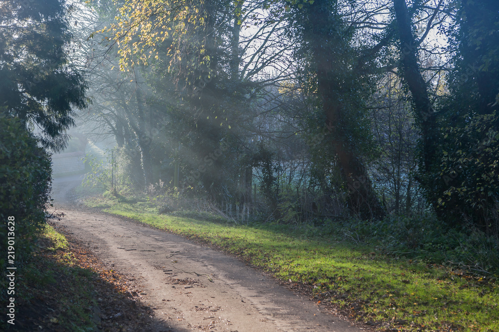 country lane with sunbeams