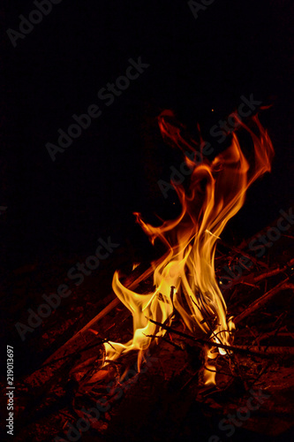 sticks burning in bonfire