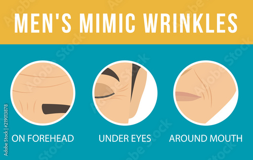 Man anti-aging skin care and men s cosmetics. Different types of facial wrinkles. Age-related skin changes. Vector