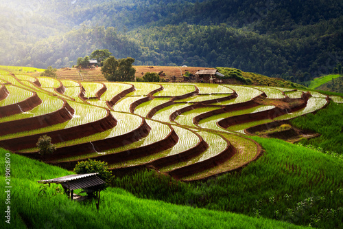 beautiful landscape view of rice terraces and house at chiang mai , Thailand. The village is in a valley among the rice terraces. Terraced Paddy Field in Mae-Jam Village chiang mai , Thailand. photo