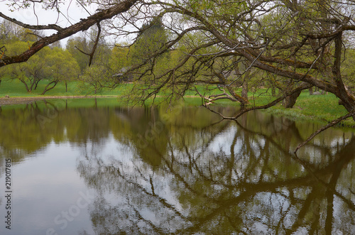 The birth of spring