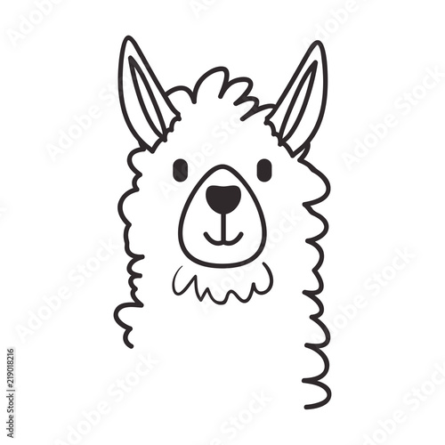 llama animal exotic icon vector illustration design