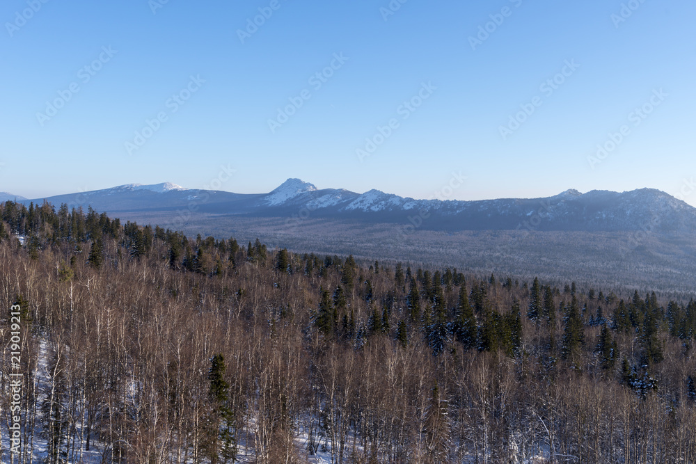 natural landscape. winter season. winter forest, mountains, against the blue sky. clear winter day.