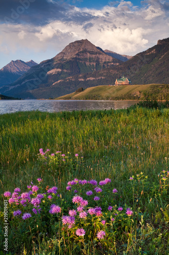 Wild Bergamot and the Prince of Wales Hotel in Waterton Lakes National Park, Alberta, Canada