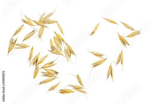 Oat grains isolated on white background