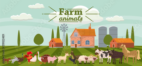 Farm animals and birds set in trendy cute style, including horse, cow, donkey, sheep, goat, pig, rabbit, duck, goose, turkey, rooster,ram, dog, cat, bull and chicken, isolated on rural landscape, farm