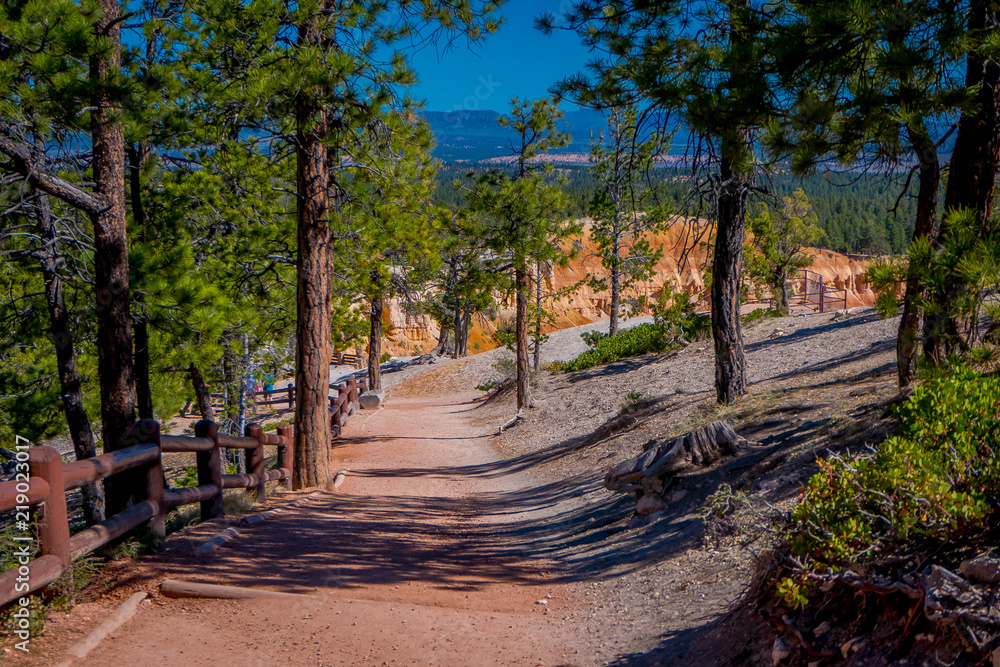 Beautiful outdoor view of sand road surrounding of nature located in Bryce Canyon National Park in Utah Beautiful outdoor view of sand road surrounding of nature located in Bryce Canyon National Park in Utah