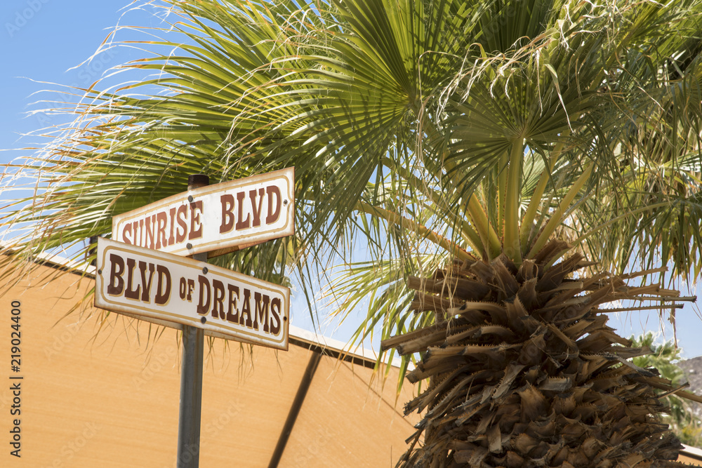 Street signs and palm tree at Zzyzx in California