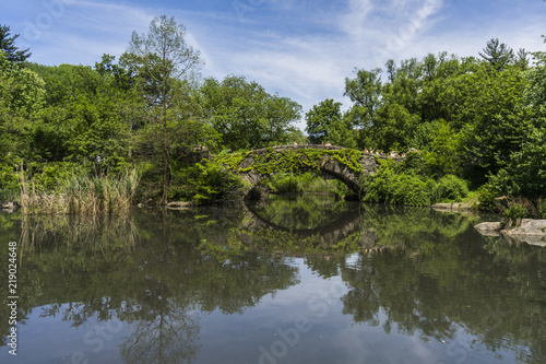 Stone bridge in Central park