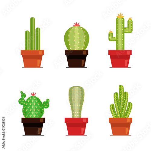 Decorative cactus set with prickles on the white background. Home plants cactus in pots and with flowers. Flat style icons.