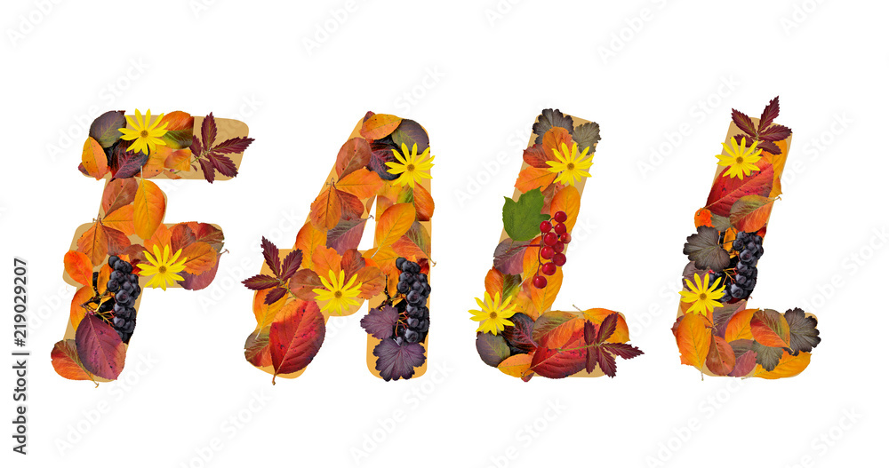 Word Fall composed from bright, colorful autumn leaves of different plants, red and purple berries and yellow flowers isolated on a white background