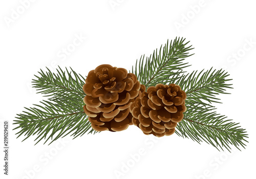 vector christmas tree branches. Realistic fir-tree and cones,  isolated. Great for christmas cards, banners, flyers, party posters, headers. Vector. Eps 10
